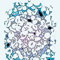 Icon of admin